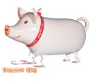 Pig Walking Pet Balloon. Airwalker Balloon.